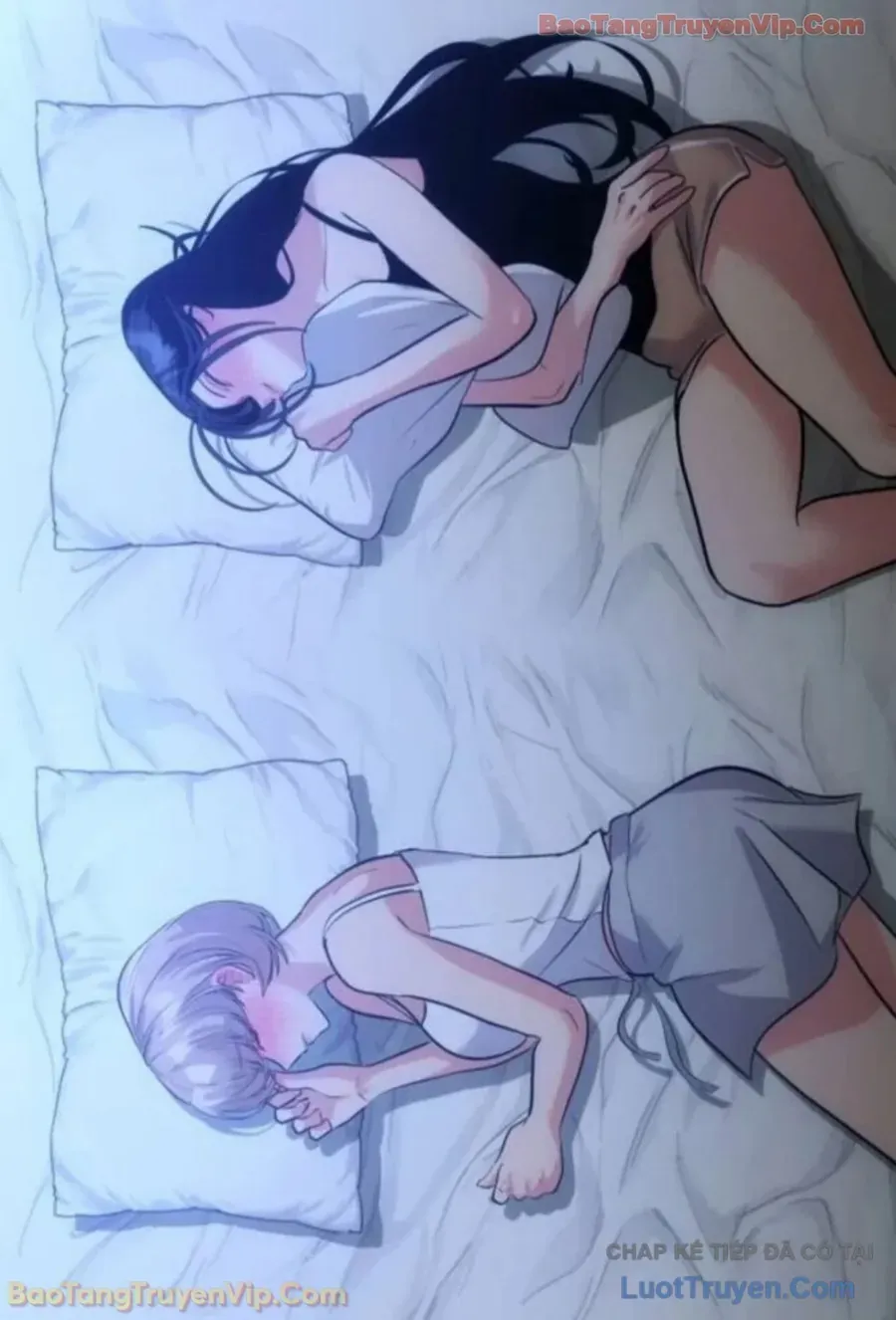 Dàn Harem Của Anh Bán Rong
