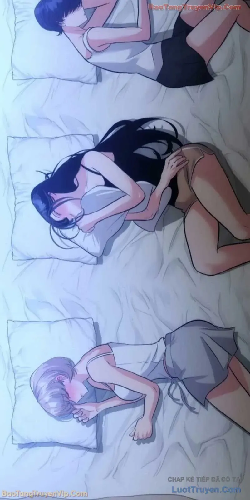 Dàn Harem Của Anh Bán Rong