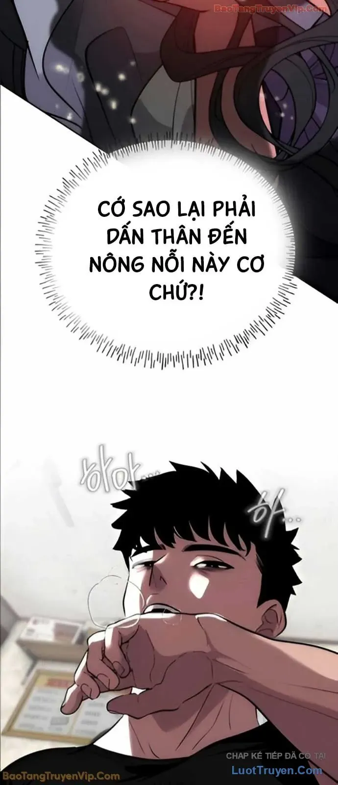 Dàn Harem Của Anh Bán Rong