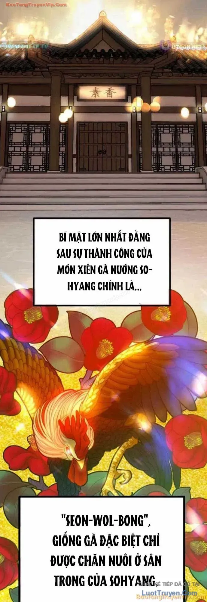 Dàn Harem Của Anh Bán Rong