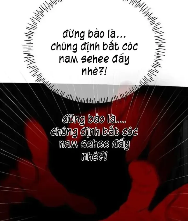 Dàn Harem Của Anh Bán Rong