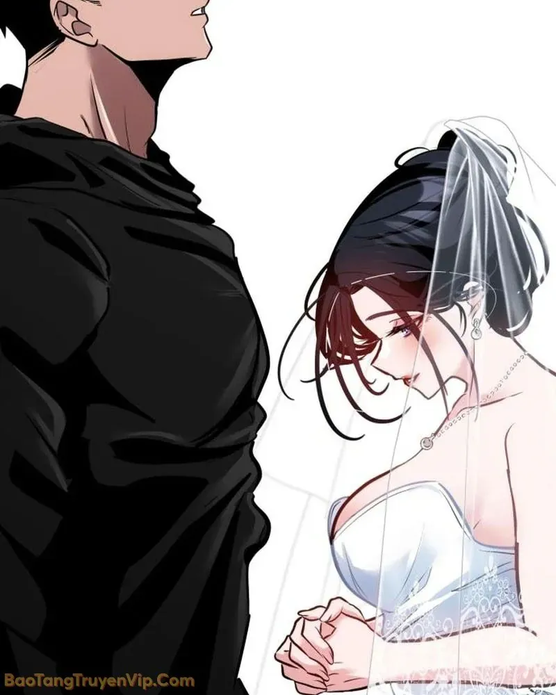 Dàn Harem Của Anh Bán Rong