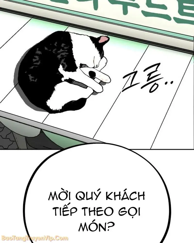 Dàn Harem Của Anh Bán Rong