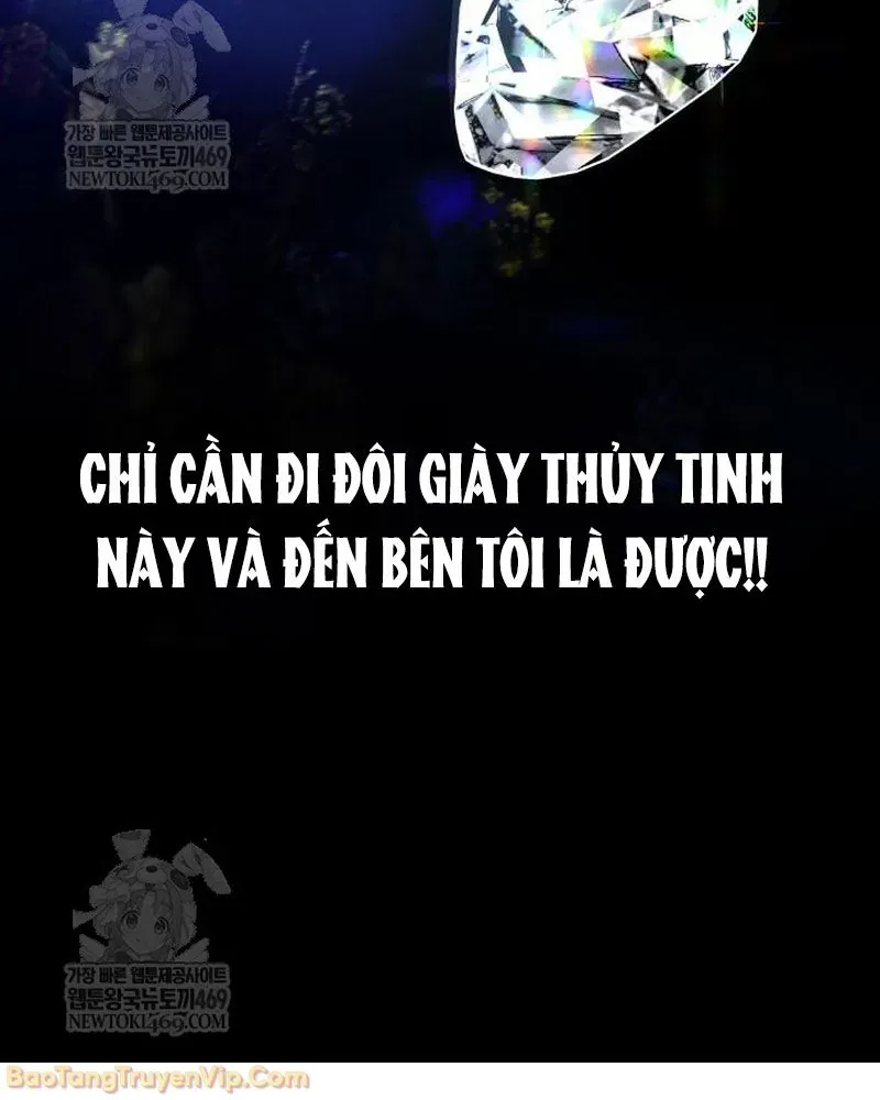 Dàn Harem Của Anh Bán Rong