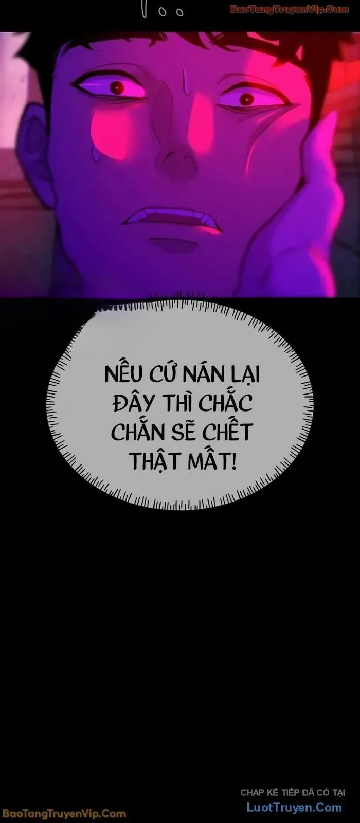 Dàn Harem Của Anh Bán Rong