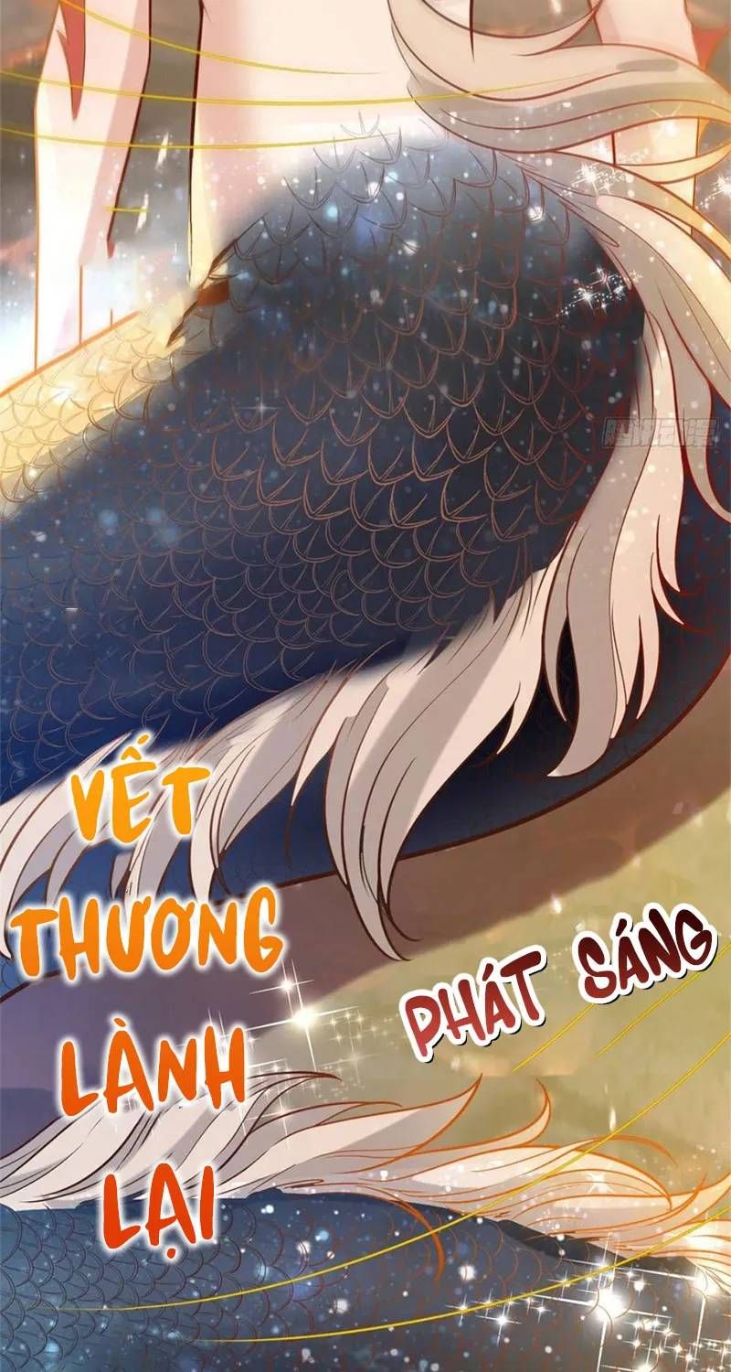 Chương 4 - Trang 23