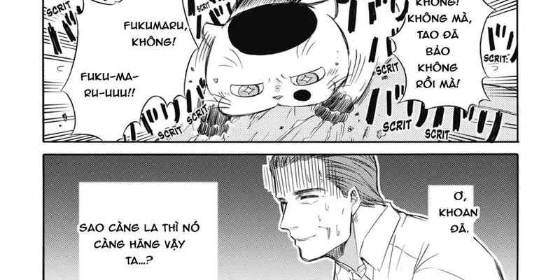 Trang 15