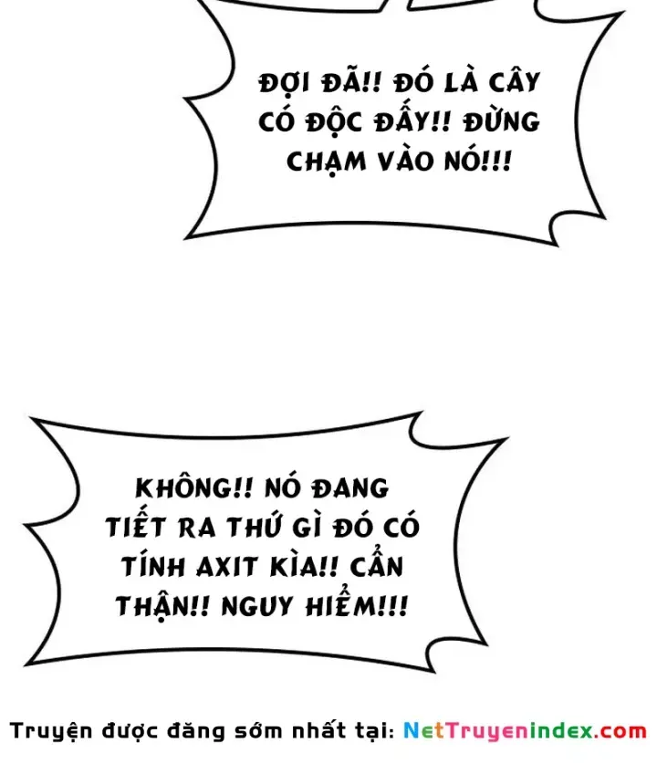 Chữa Lành Cuộc Sống Thông Qua Cắm Trại Ở Thế Giới Khác