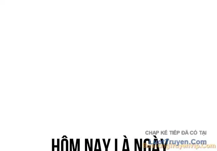 Chữa Lành Cuộc Sống Thông Qua Cắm Trại Ở Thế Giới Khác