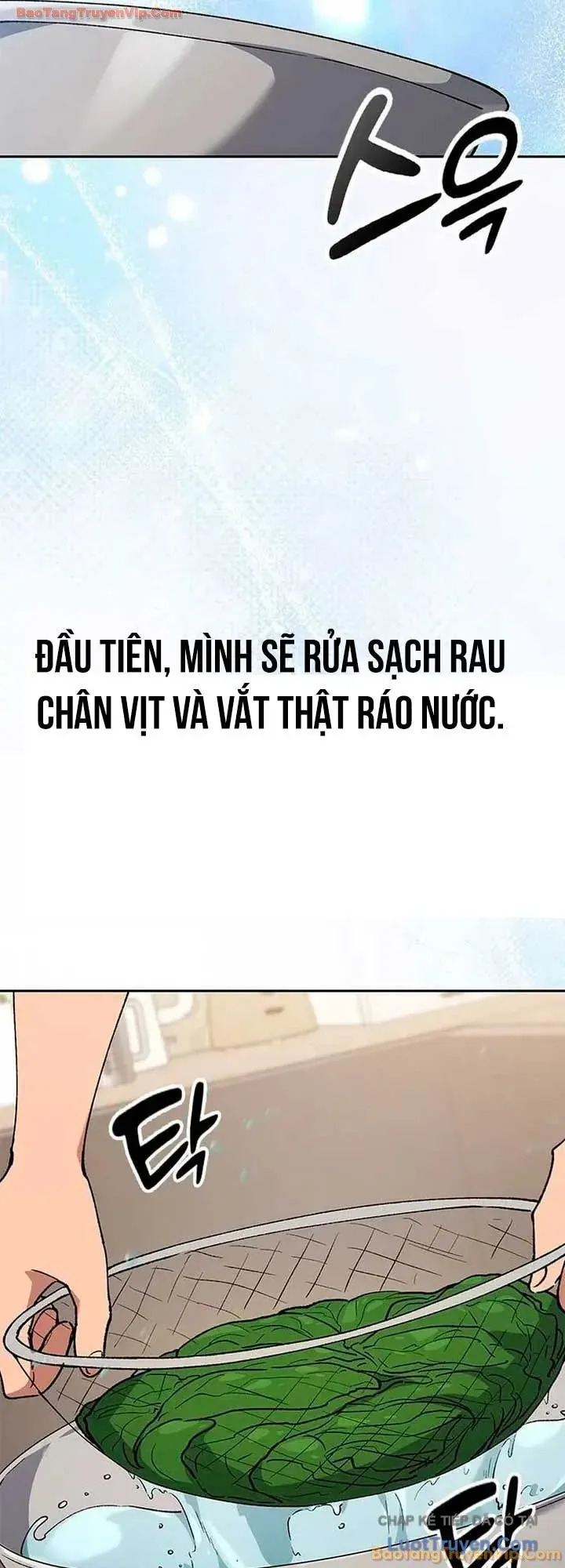 Chữa Lành Cuộc Sống Thông Qua Cắm Trại Ở Thế Giới Khác