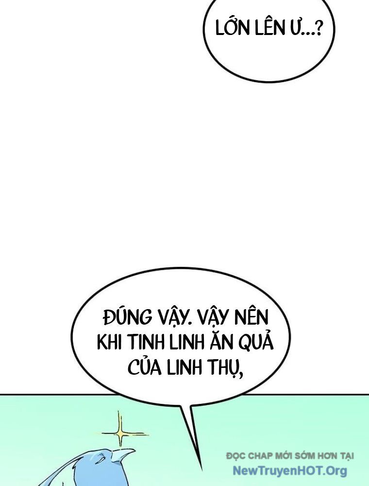 Chữa Lành Cuộc Sống Thông Qua Cắm Trại Ở Thế Giới Khác