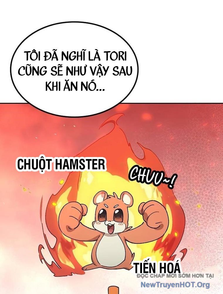 Chữa Lành Cuộc Sống Thông Qua Cắm Trại Ở Thế Giới Khác