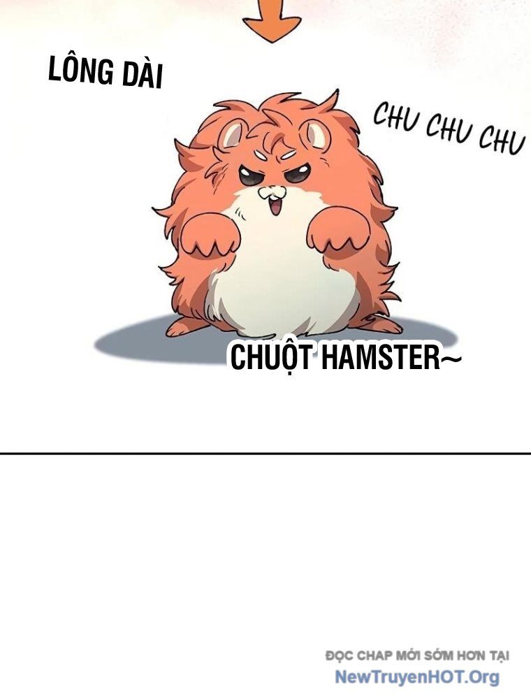 Chữa Lành Cuộc Sống Thông Qua Cắm Trại Ở Thế Giới Khác