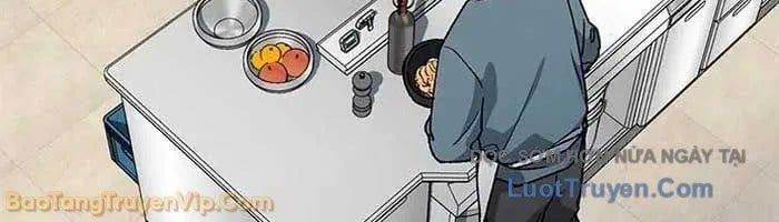 Chữa Lành Cuộc Sống Thông Qua Cắm Trại Ở Thế Giới Khác