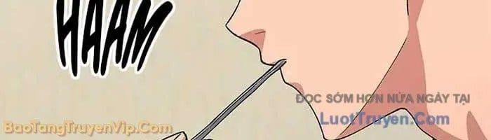 Chữa Lành Cuộc Sống Thông Qua Cắm Trại Ở Thế Giới Khác