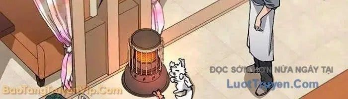 Chữa Lành Cuộc Sống Thông Qua Cắm Trại Ở Thế Giới Khác