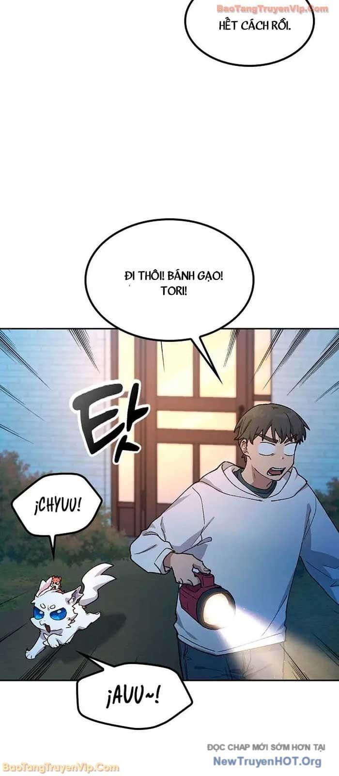 Chữa Lành Cuộc Sống Thông Qua Cắm Trại Ở Thế Giới Khác