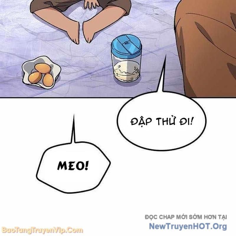 Chữa Lành Cuộc Sống Thông Qua Cắm Trại Ở Thế Giới Khác
