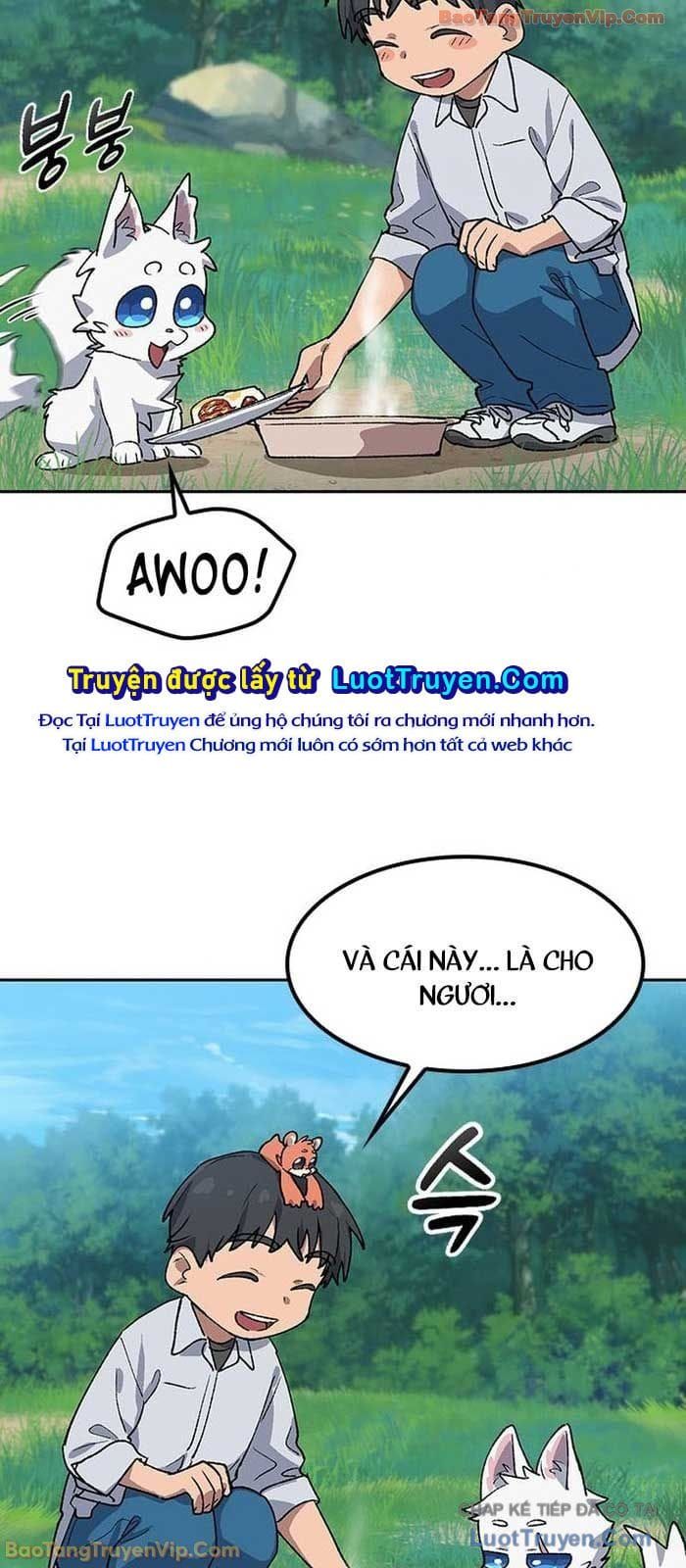 Chữa Lành Cuộc Sống Thông Qua Cắm Trại Ở Thế Giới Khác