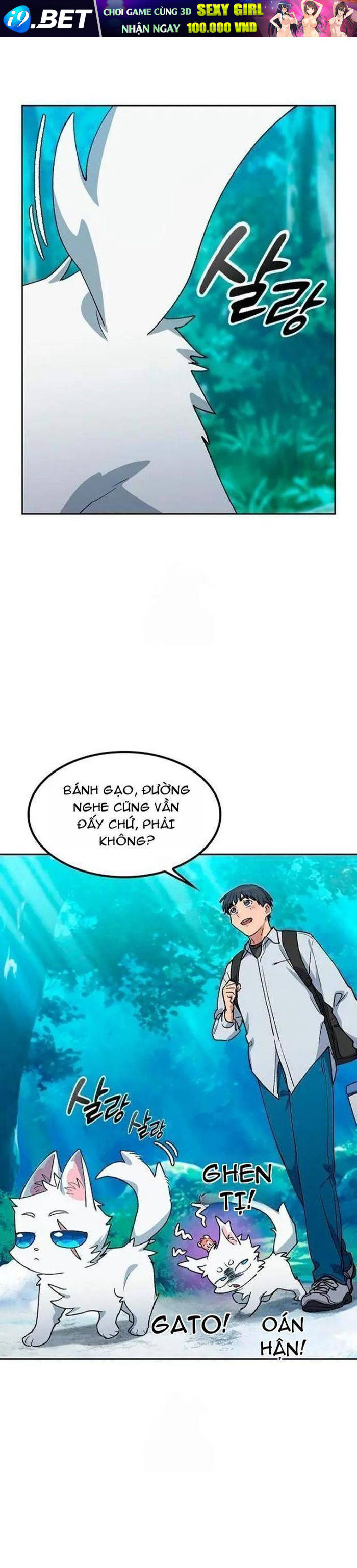 Chữa Lành Cuộc Sống Thông Qua Cắm Trại Ở Thế Giới Khác
