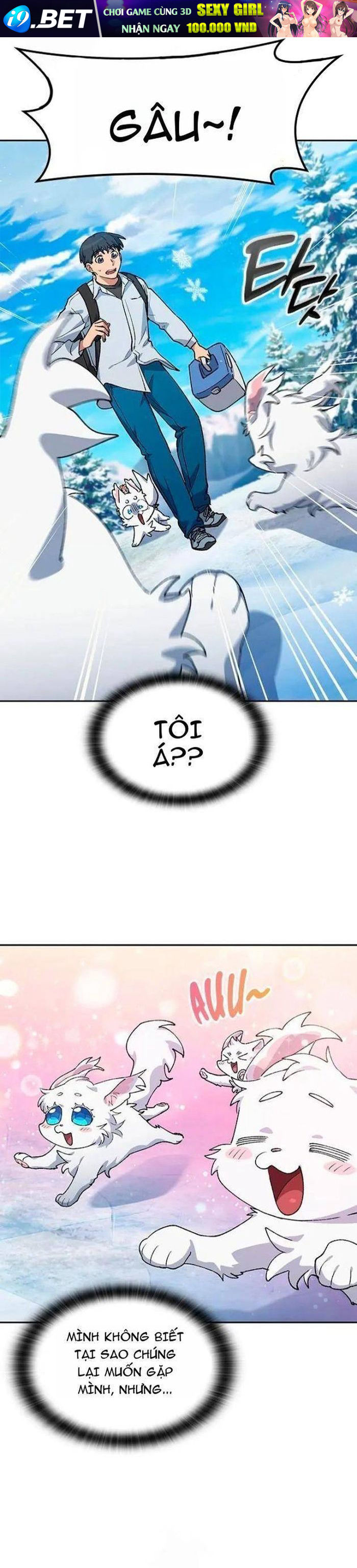 Chữa Lành Cuộc Sống Thông Qua Cắm Trại Ở Thế Giới Khác