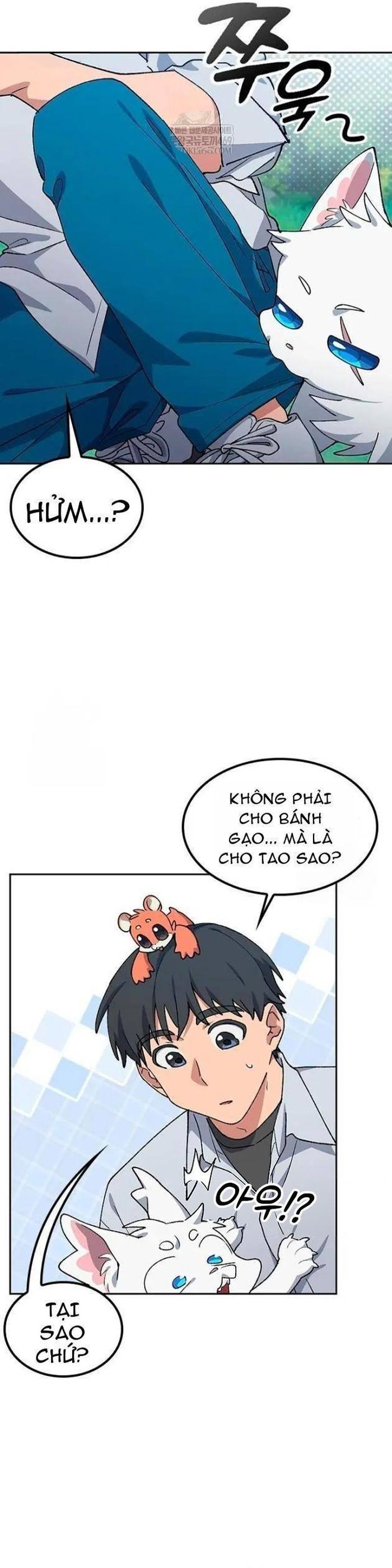 Chữa Lành Cuộc Sống Thông Qua Cắm Trại Ở Thế Giới Khác