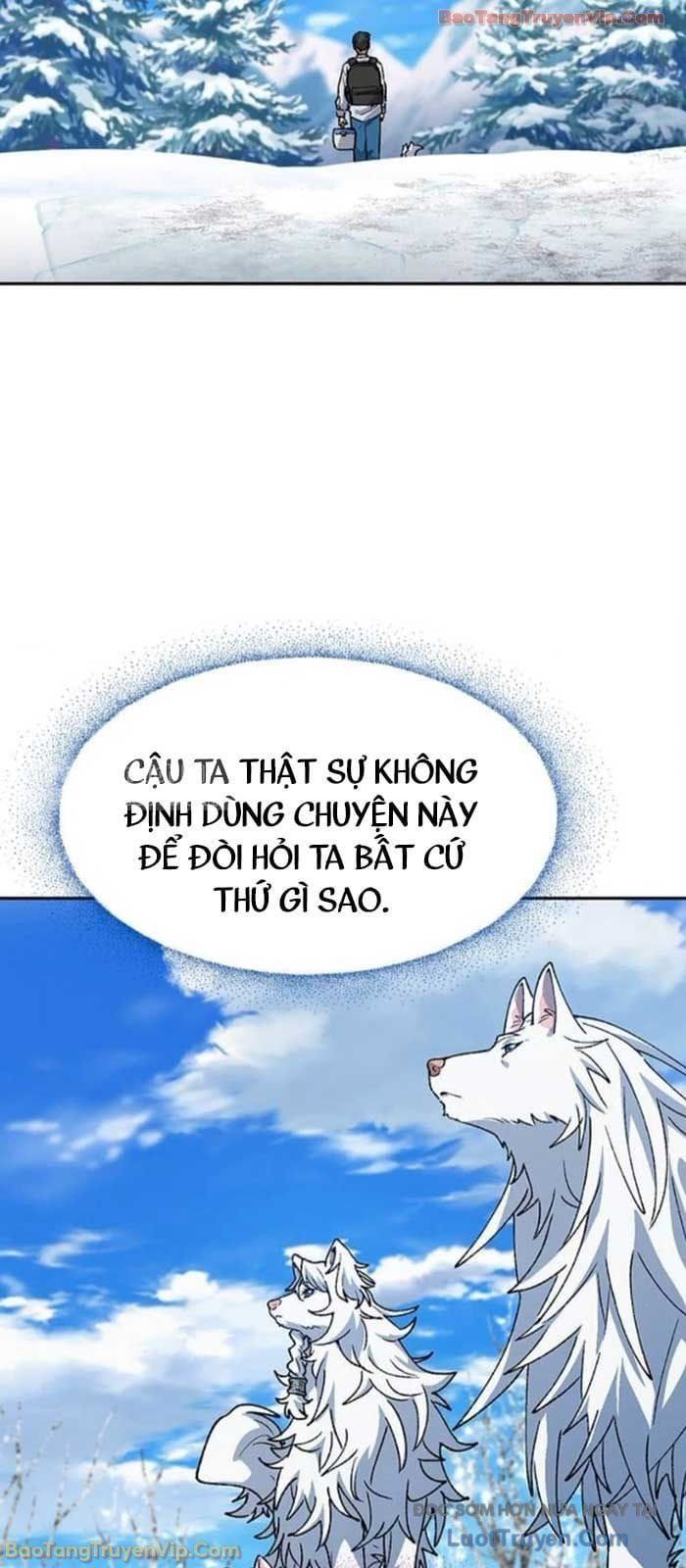 Chữa Lành Cuộc Sống Thông Qua Cắm Trại Ở Thế Giới Khác