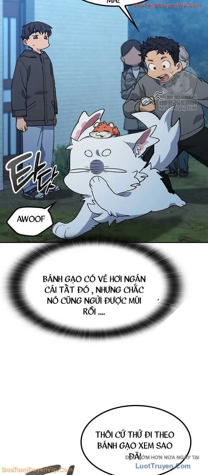 Chữa Lành Cuộc Sống Thông Qua Cắm Trại Ở Thế Giới Khác