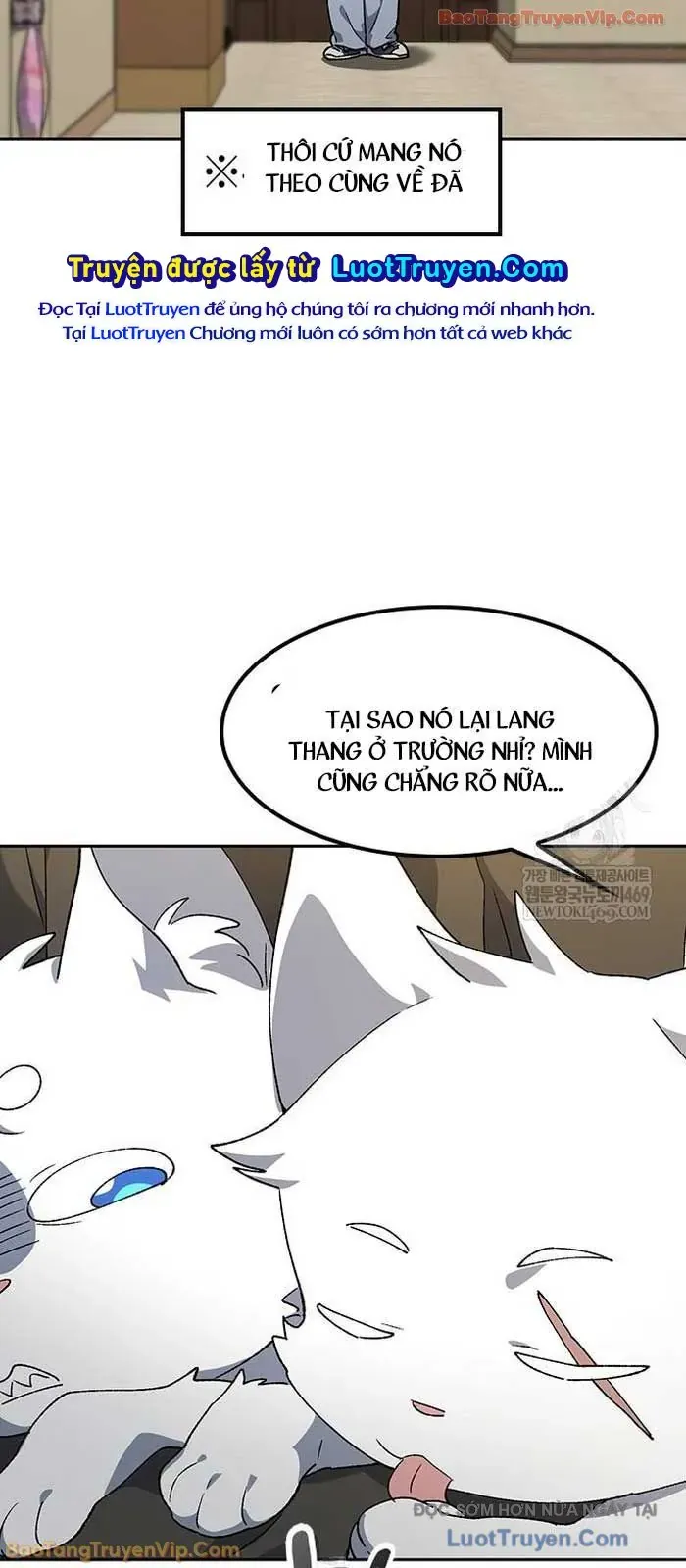 Chữa Lành Cuộc Sống Thông Qua Cắm Trại Ở Thế Giới Khác