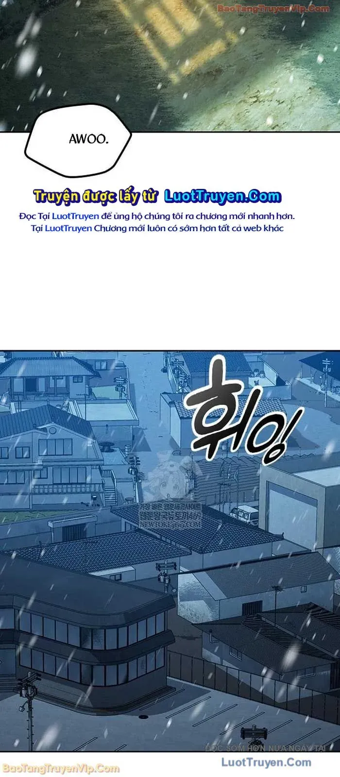 Chữa Lành Cuộc Sống Thông Qua Cắm Trại Ở Thế Giới Khác