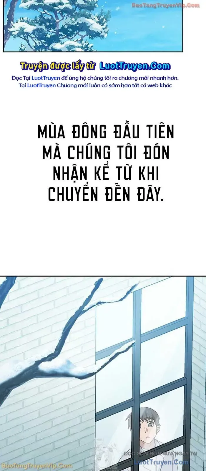 Chữa Lành Cuộc Sống Thông Qua Cắm Trại Ở Thế Giới Khác