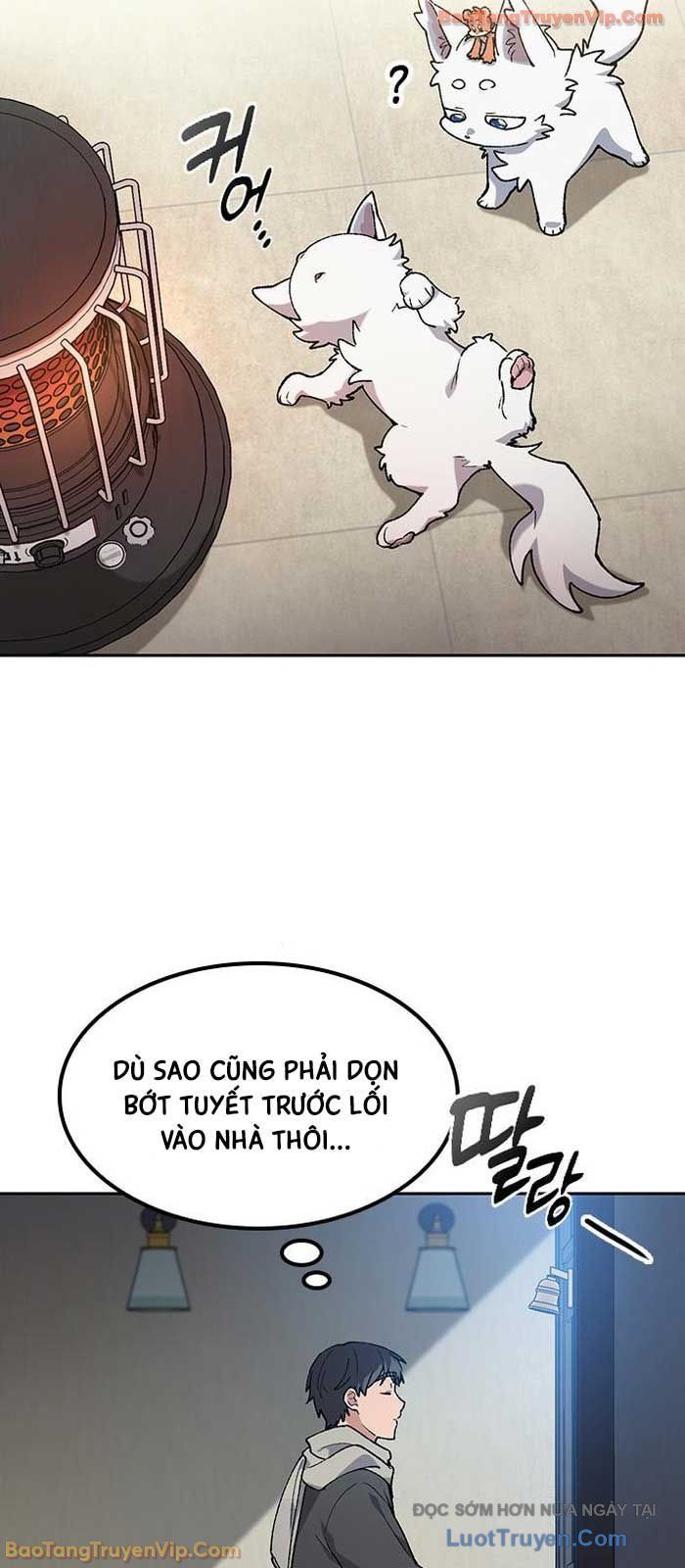 Chữa Lành Cuộc Sống Thông Qua Cắm Trại Ở Thế Giới Khác