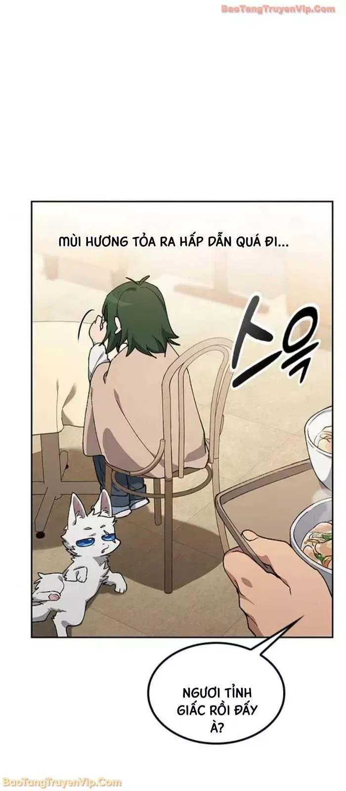 Chữa Lành Cuộc Sống Thông Qua Cắm Trại Ở Thế Giới Khác