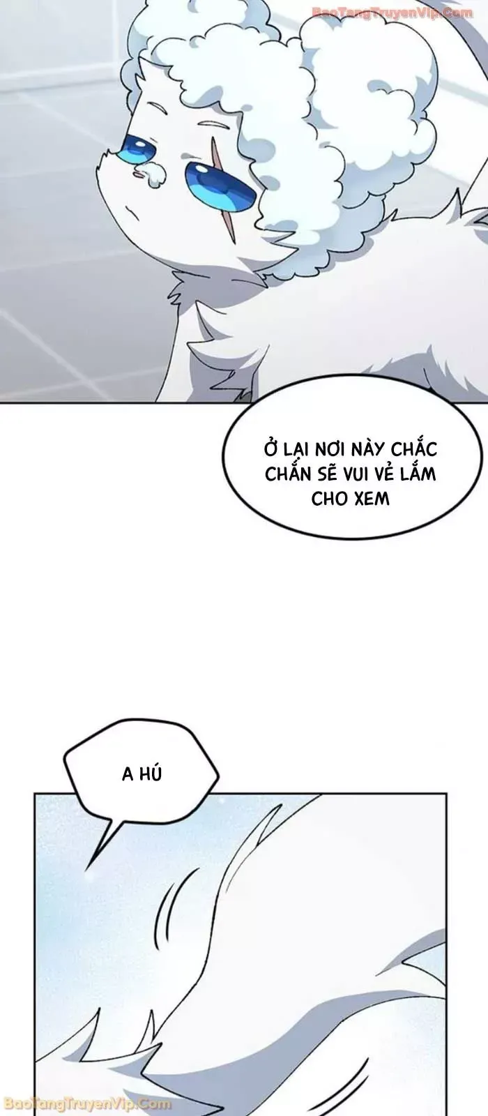 Chữa Lành Cuộc Sống Thông Qua Cắm Trại Ở Thế Giới Khác