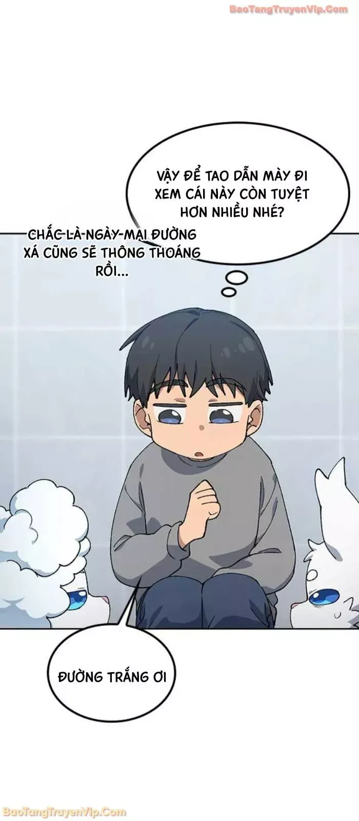 Chữa Lành Cuộc Sống Thông Qua Cắm Trại Ở Thế Giới Khác