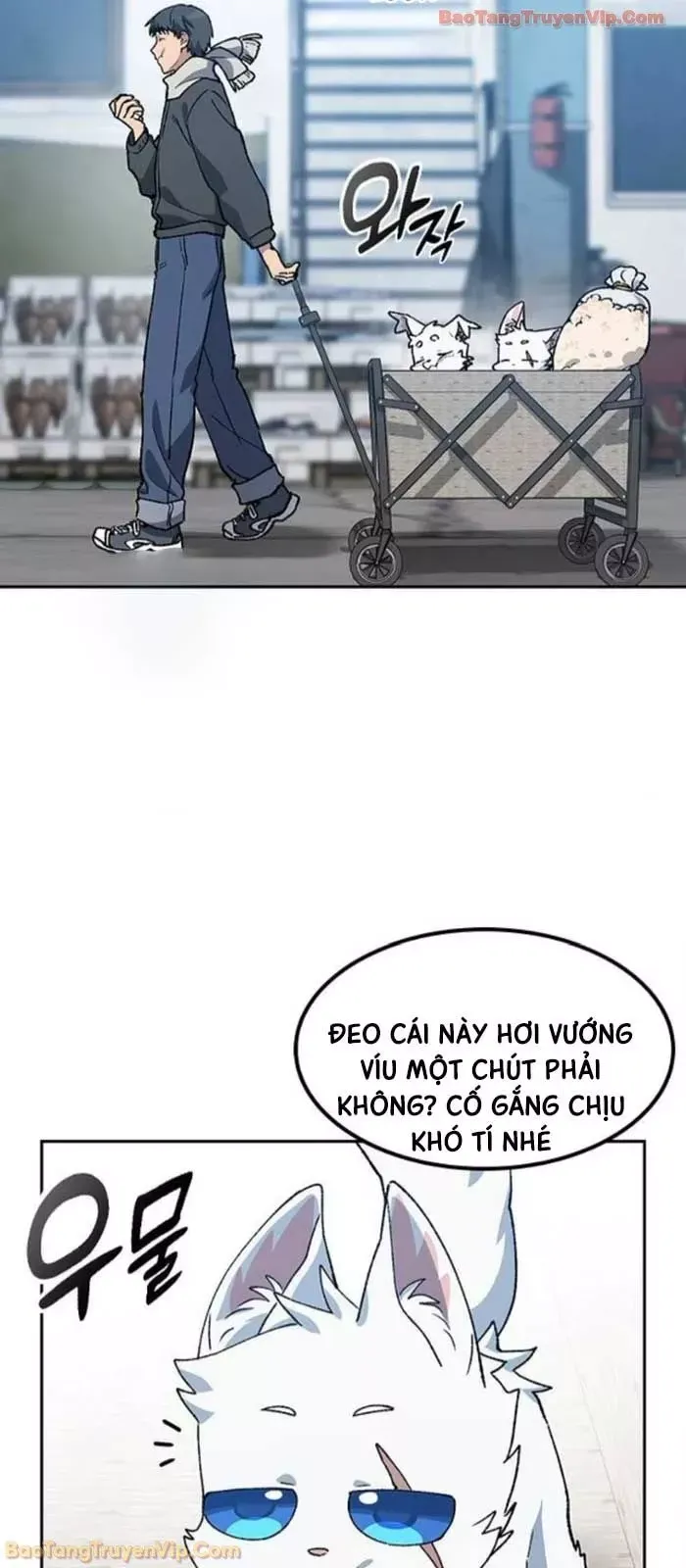 Chữa Lành Cuộc Sống Thông Qua Cắm Trại Ở Thế Giới Khác