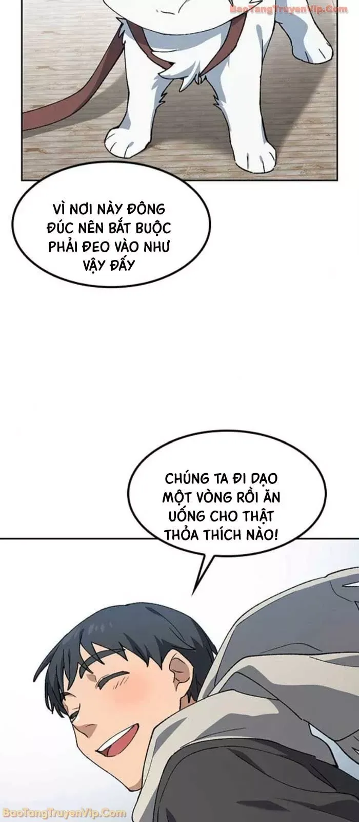 Chữa Lành Cuộc Sống Thông Qua Cắm Trại Ở Thế Giới Khác