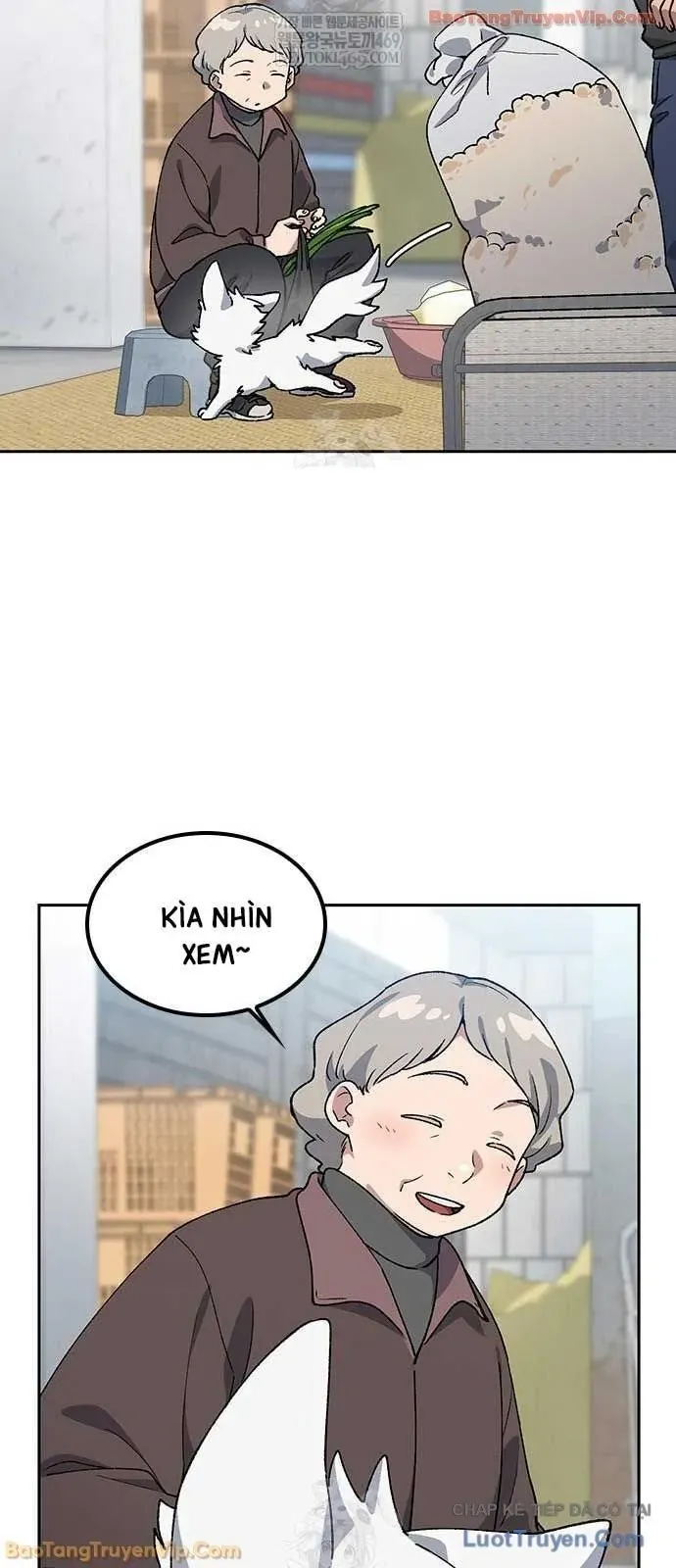 Chữa Lành Cuộc Sống Thông Qua Cắm Trại Ở Thế Giới Khác