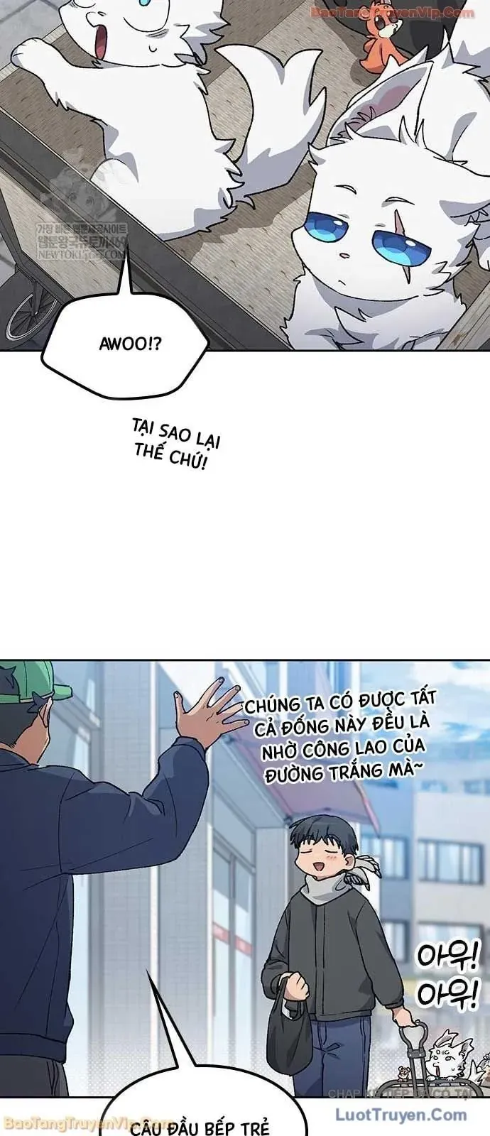 Chữa Lành Cuộc Sống Thông Qua Cắm Trại Ở Thế Giới Khác