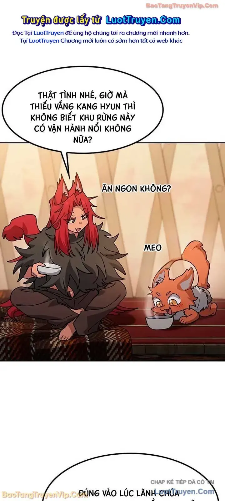 Chữa Lành Cuộc Sống Thông Qua Cắm Trại Ở Thế Giới Khác