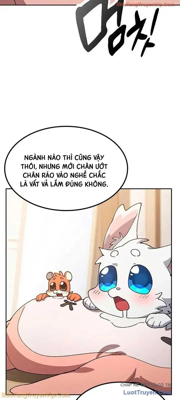Chữa Lành Cuộc Sống Thông Qua Cắm Trại Ở Thế Giới Khác