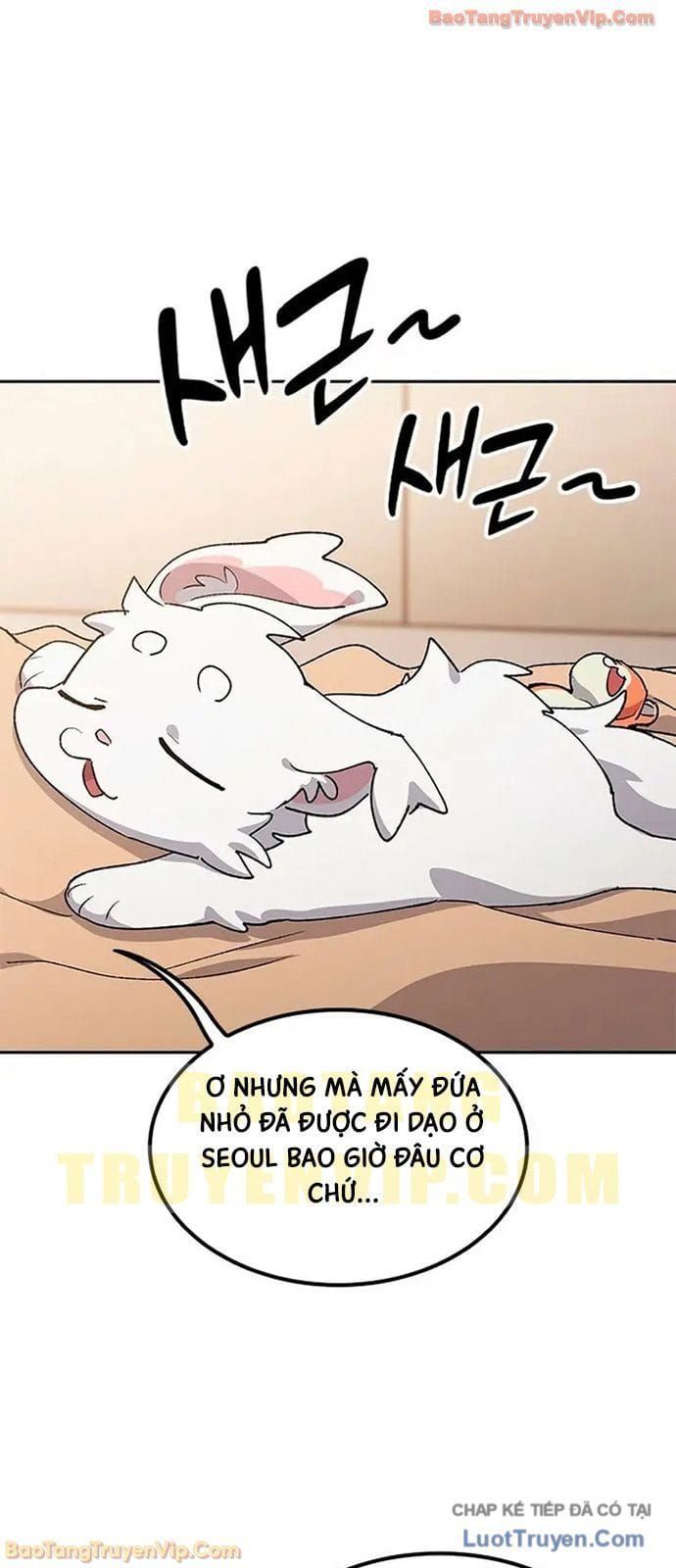 Chữa Lành Cuộc Sống Thông Qua Cắm Trại Ở Thế Giới Khác