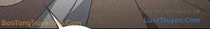 Chữa Lành Cuộc Sống Thông Qua Cắm Trại Ở Thế Giới Khác