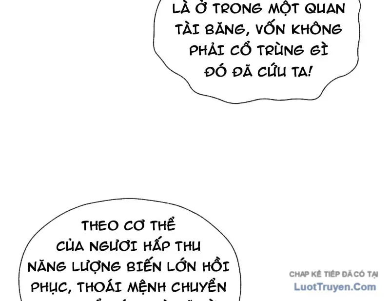 Đại ái Ma Tôn, nữ đồ đệ đều muốn giết ta