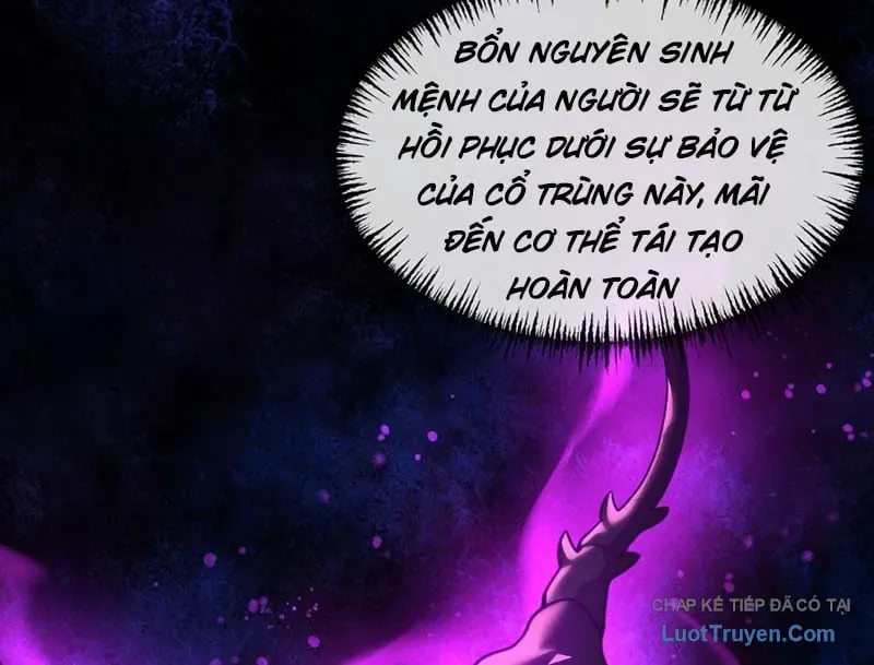 Đại ái Ma Tôn, nữ đồ đệ đều muốn giết ta
