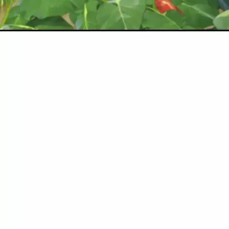 Trang 93