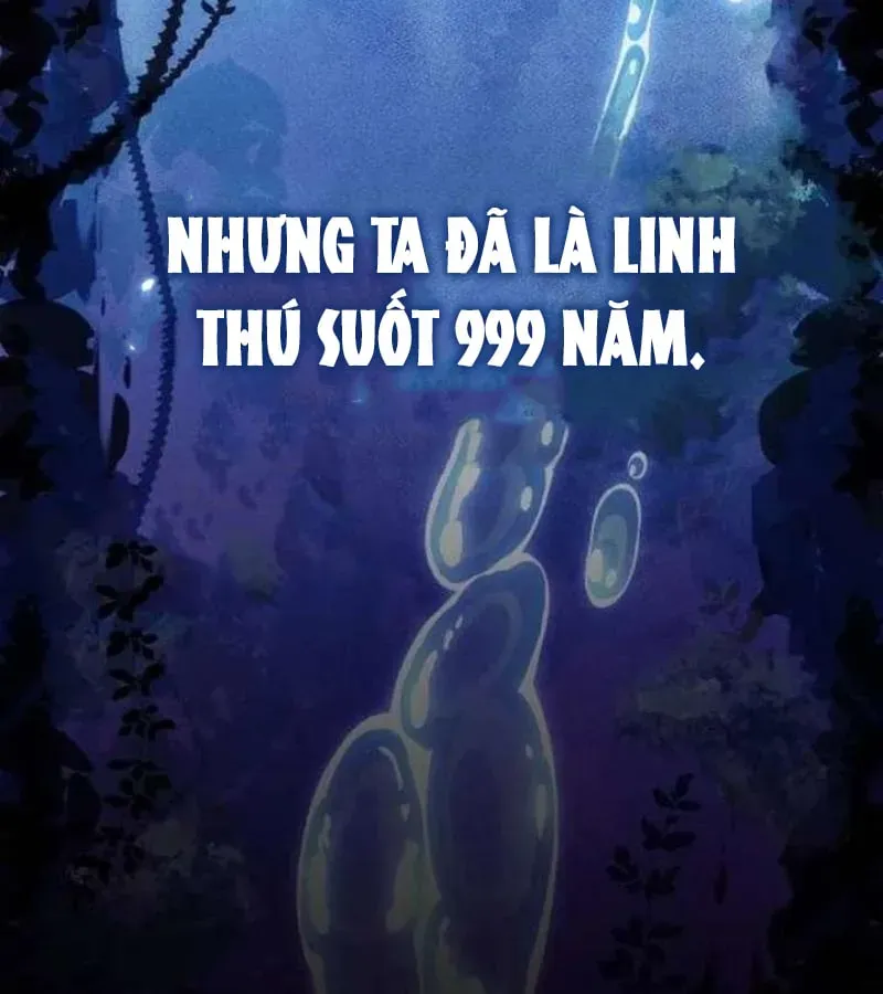 Chương 1 - Trang 27