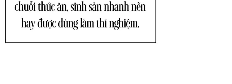 Trang 94