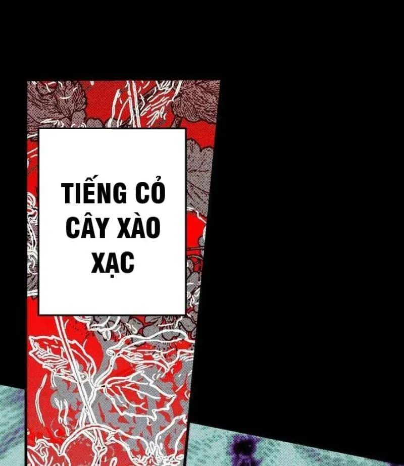 Trang 215