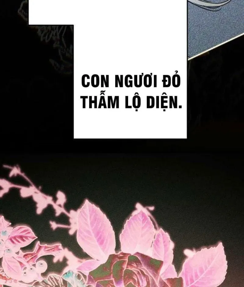 Trang 241